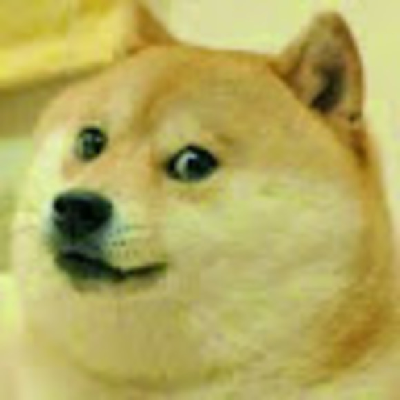 Meet your Posher, Émie - Picture 1 of 1